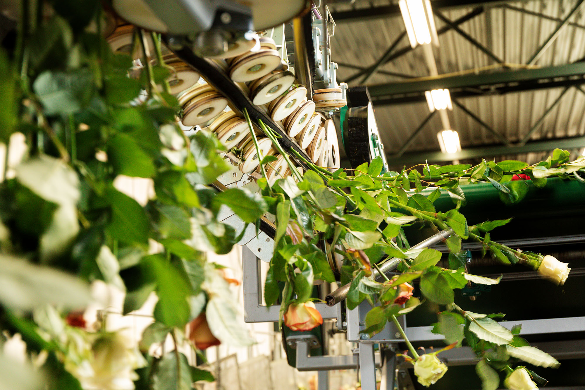 Furora Verticaal Transport - Bercomex