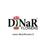 Logo DiNaR Flowers